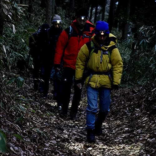 51rvlavwvql. Ac .jpg