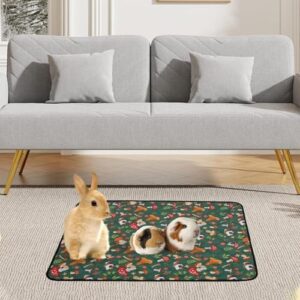 51x9lp6jgql. Ac .jpg