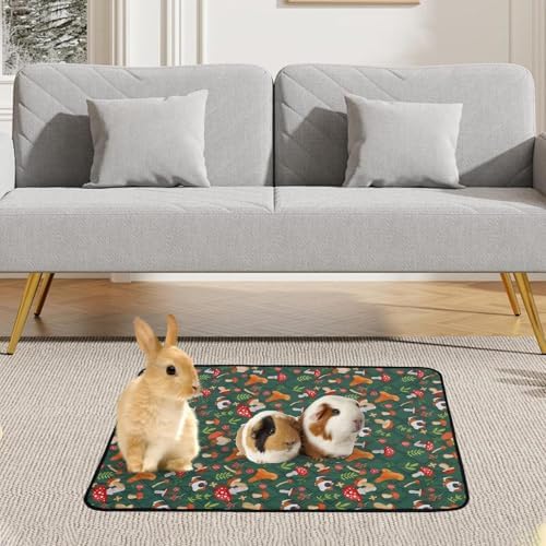 51x9lp6jgql. Ac .jpg