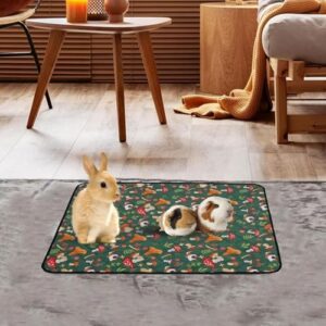 51borsnn6pl. Ac .jpg