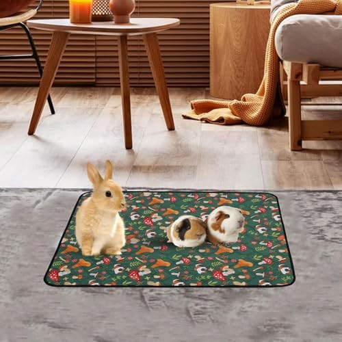 51borsnn6pl. Ac .jpg