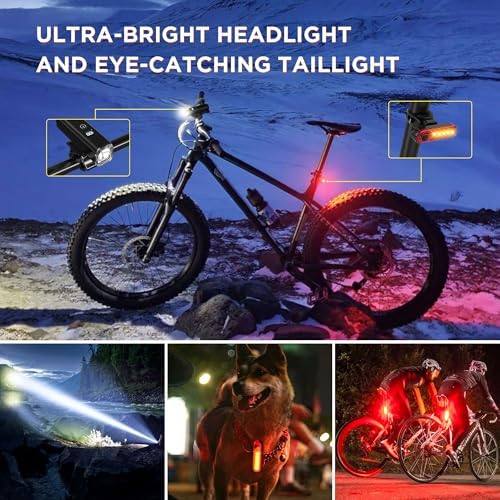 51cld15fx9l. Ac .jpg