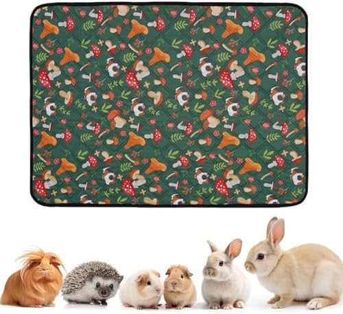 51kt4xwtxll. Ac .jpg