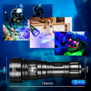 51mq0iexpsl. Ac .jpg