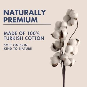 1759601669 41ofya61mfl. Ac .jpg