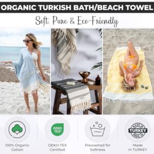 51ajm5p3ctl. Ac .jpg