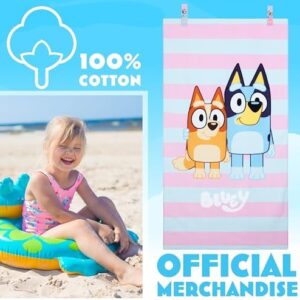 51mr3spxpil. Ac .jpg