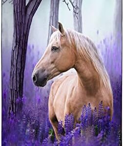 51fw1dlpj7l. Ac .jpg