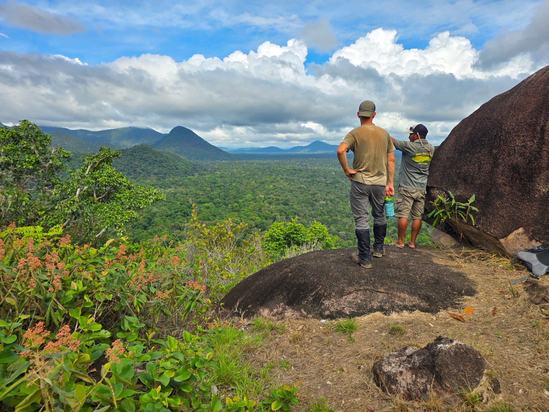 COPYRIGHT HoneyTrek 20251201 092453 179 scaled.jpg